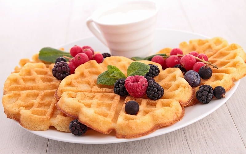 élixir scénaristique